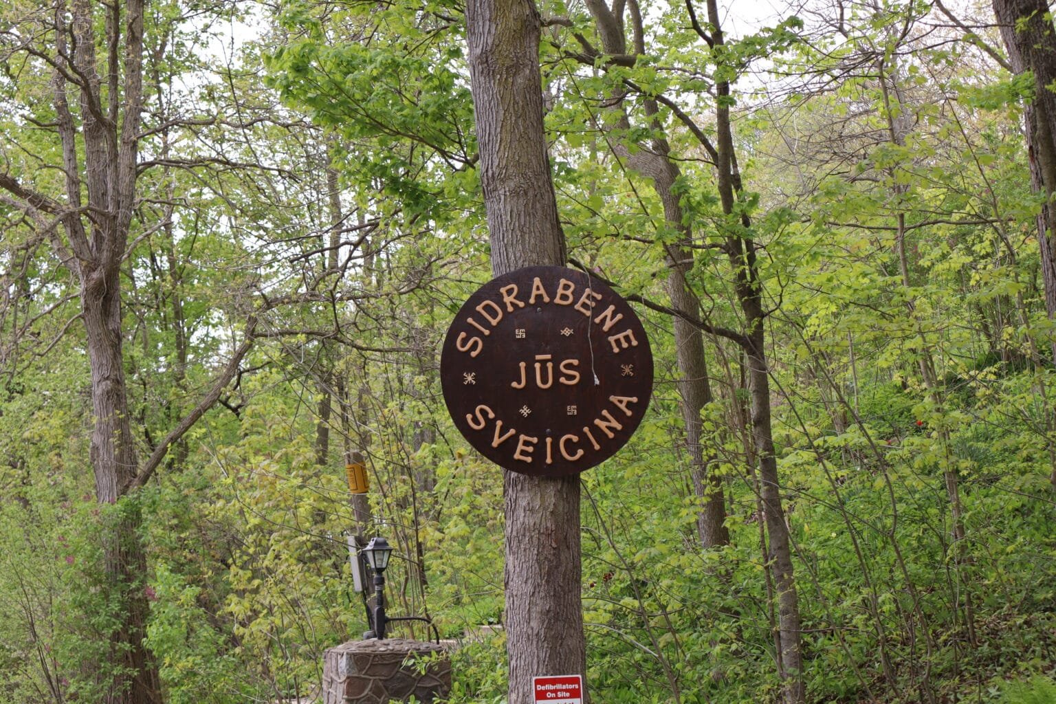 Sidrabene — photo 3