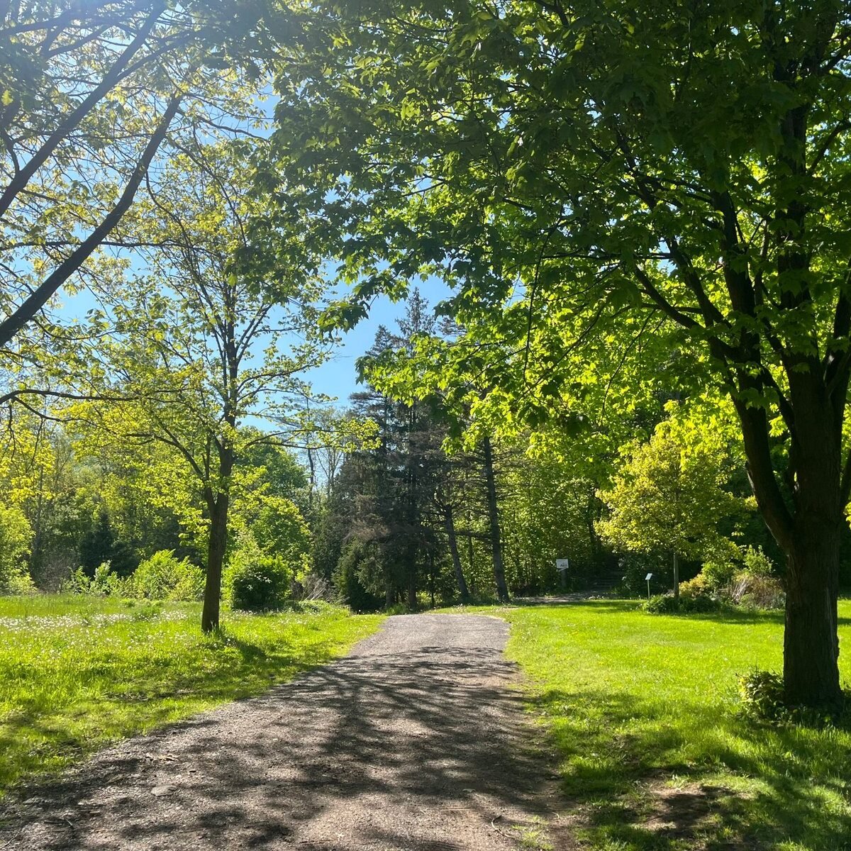 IMG_6243