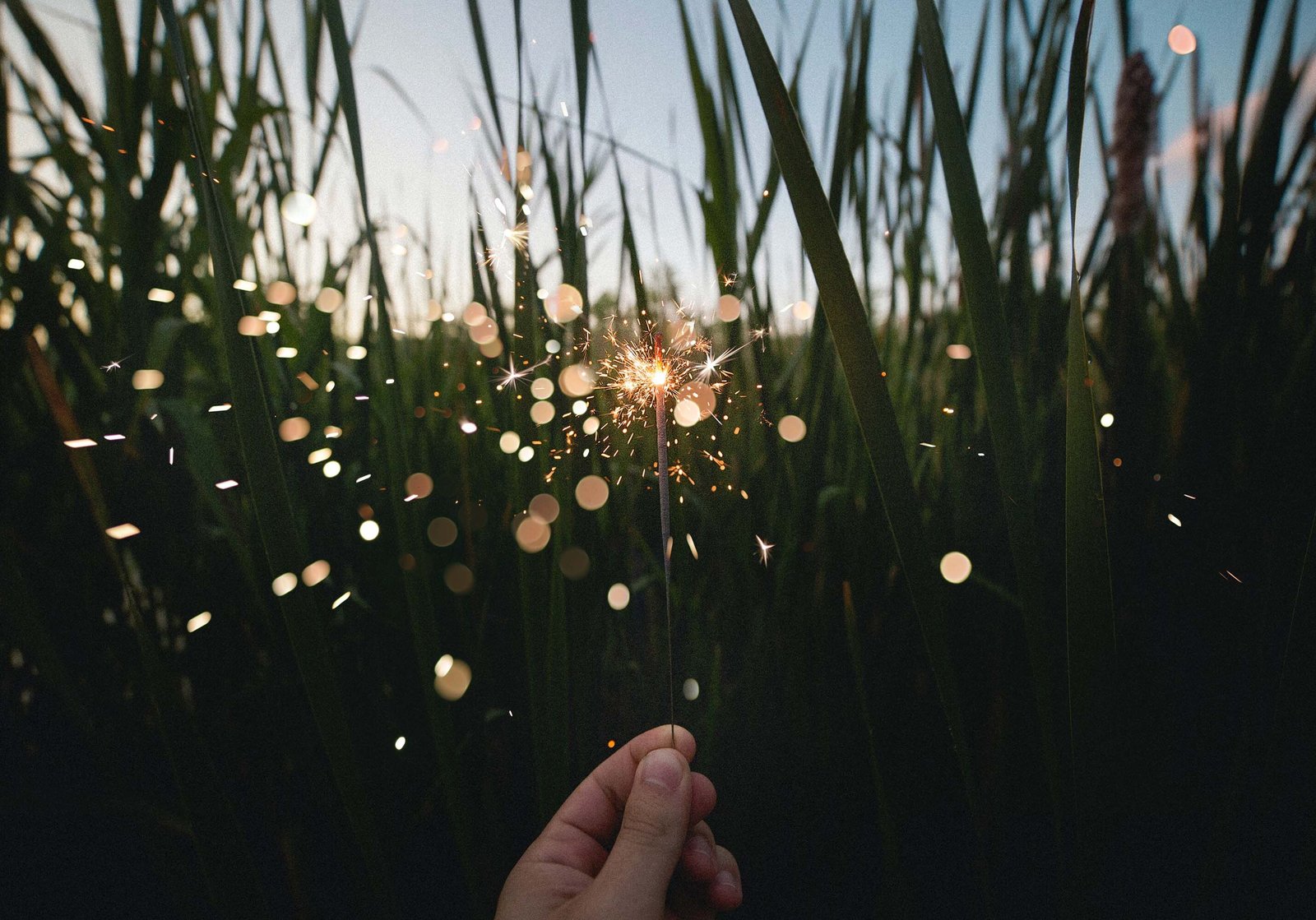 Sparkler-summer-celebration